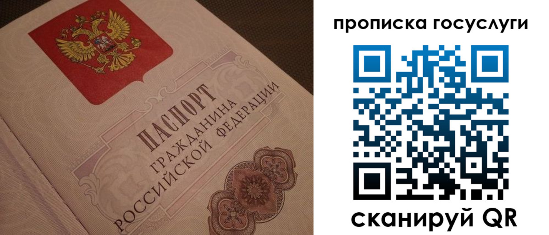 прописка для работы в Ставропольском крае